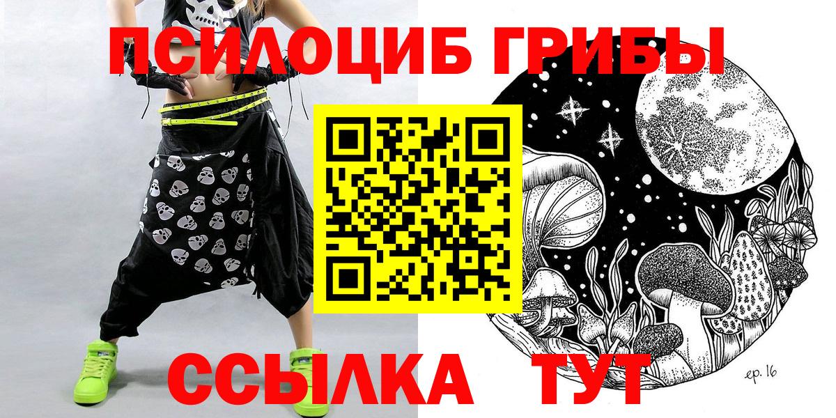 Псилоцибиновые грибы Cubensis Волгоград